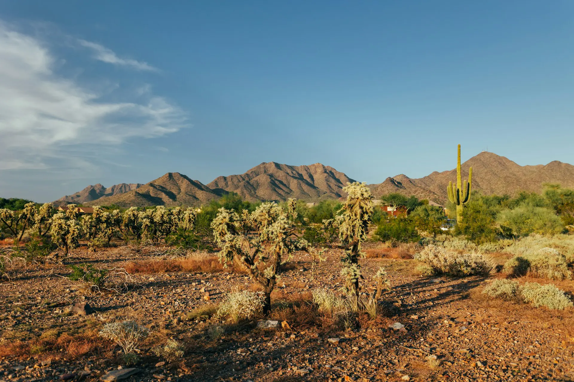 the advantages and disadvantages of irrevocable trusts