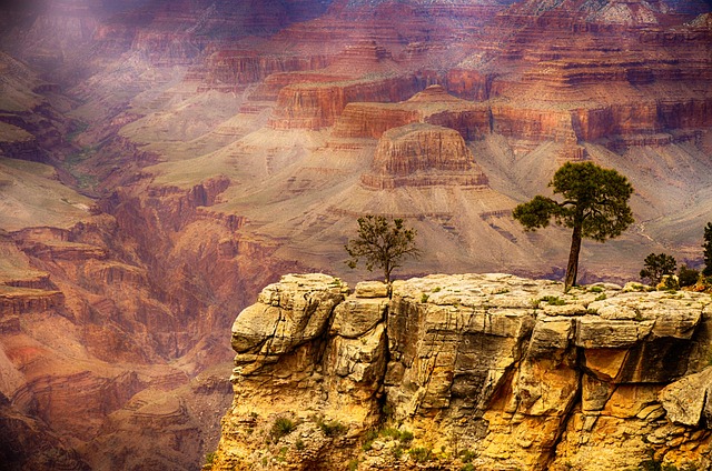 the grand canyon arizona treasures