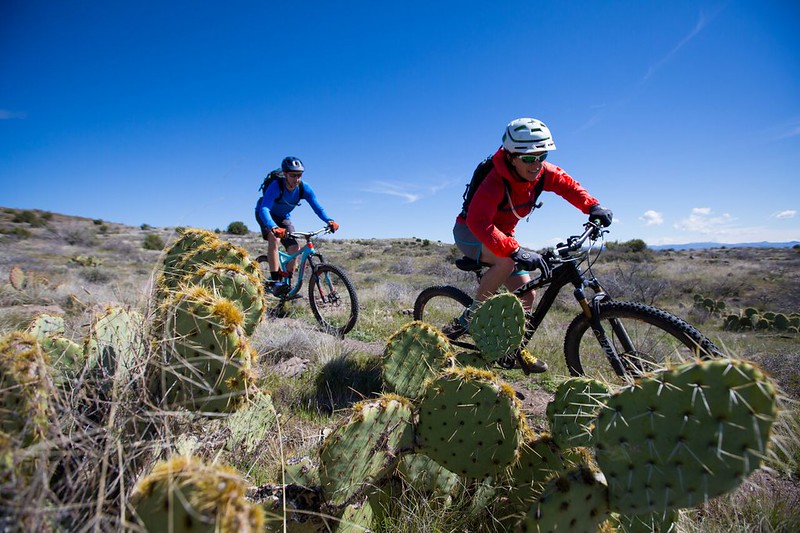 mountain biking destinations around phoenix - black canyon trail in arizona