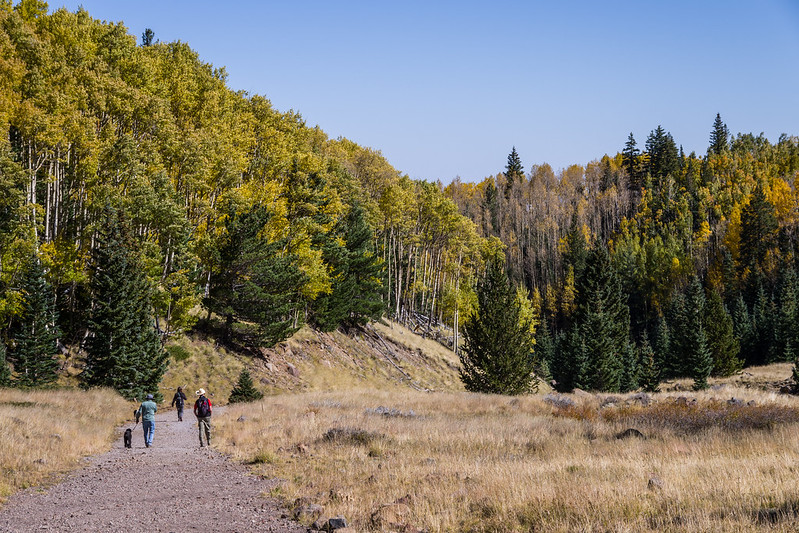 fall color change in Arizona, how long do fall colors last in Arizona? where to hike to see fall colors in Arizona