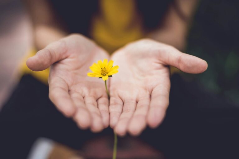 What Is a Donor-Advised Fund?