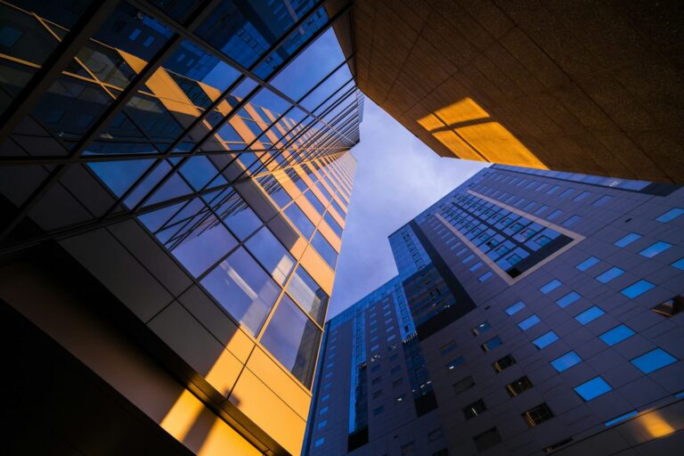 Can a Trust Own an LLC?