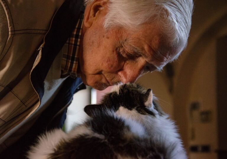 How to Make Sure Your Pet Is Taken Care of After Your Death